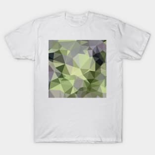 Asparagus Green Abstract Low Polygon Background T-Shirt